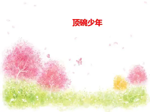 《顶碗少年》精选教学11PPT课件