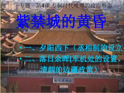 人民版高中历史《专制代晚期的政治形态》下载精品PPT