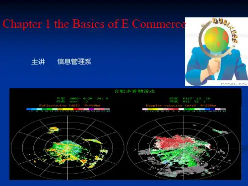 Chapter 1 the basics of E Commerce 第一章 电子商务基础