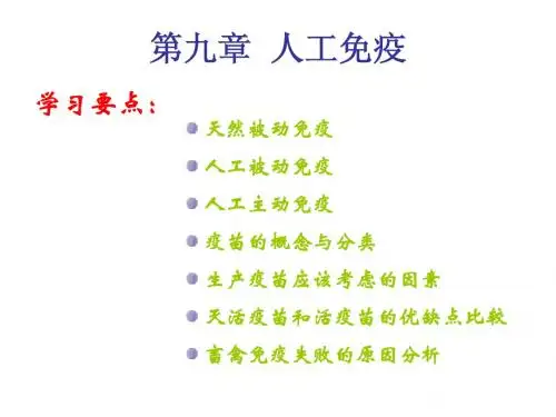 第九章  人工免疫