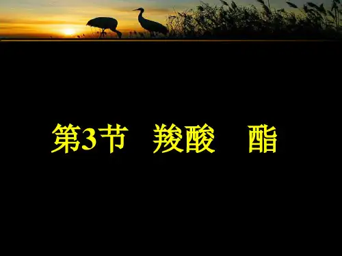 有机化学羧酸酯