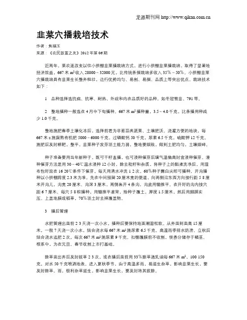 韭菜穴播栽培技术
