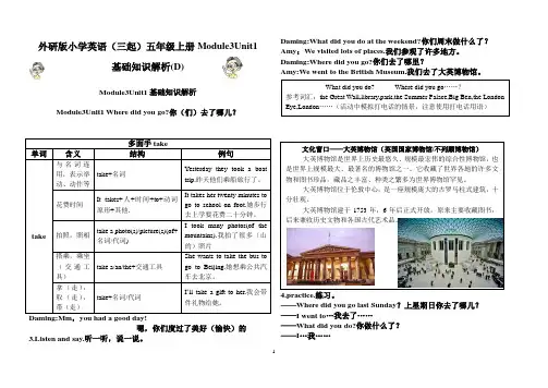 外研版小学英语(三起)五年级上册Module3Unit1基础知识解析(D)
