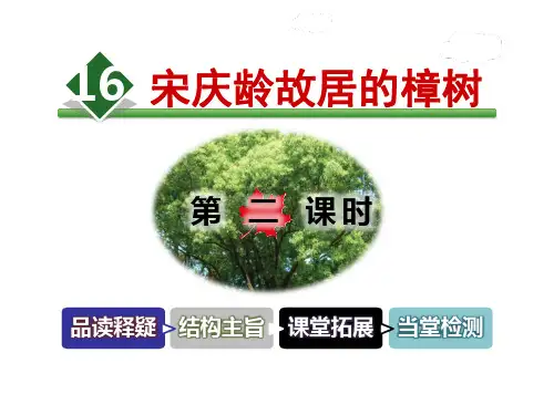 《宋庆龄故居的樟树》PPT课件下载