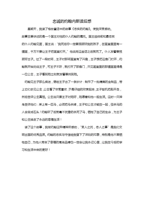 忠诚的约翰内斯读后感