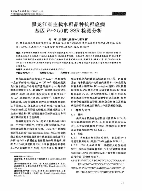 黑龙江省主栽水稻品种抗稻瘟病基因Pi-2(t)的SSR检测分析