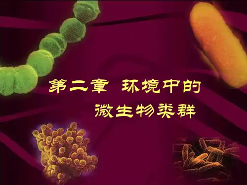 病毒