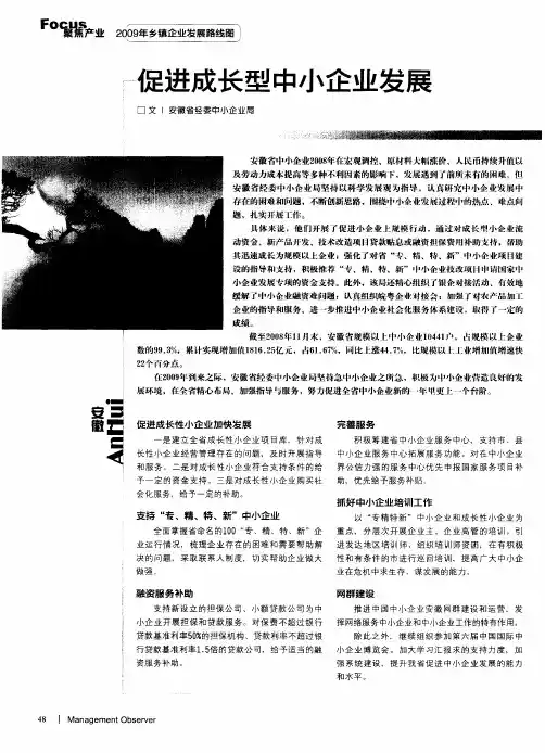 促进成长型中小企业发展