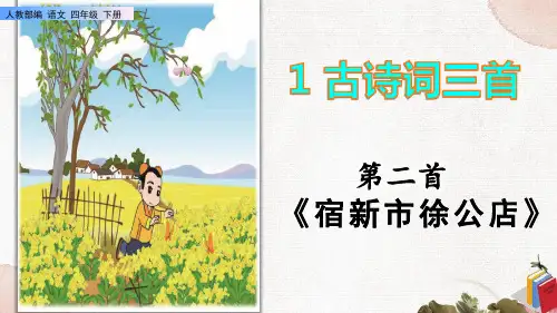 《宿新市徐公店》课件ppt(完美版)
