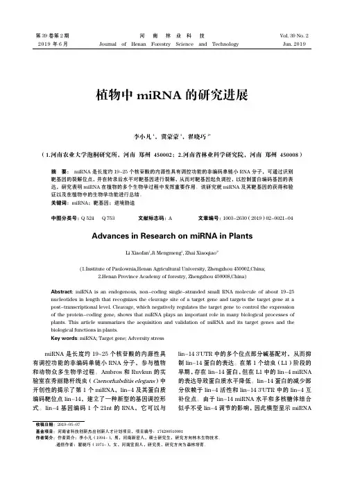 植物中miRNA的研究进展