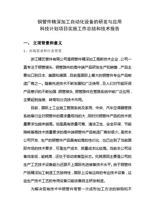 科技计划项目实施总结报告