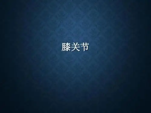 膝关节