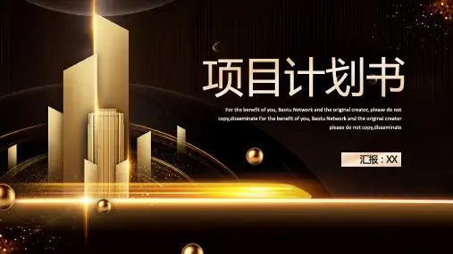 项目策划设计PPT模版(45)
