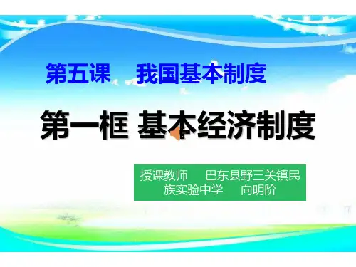 基本经济制度 (2)