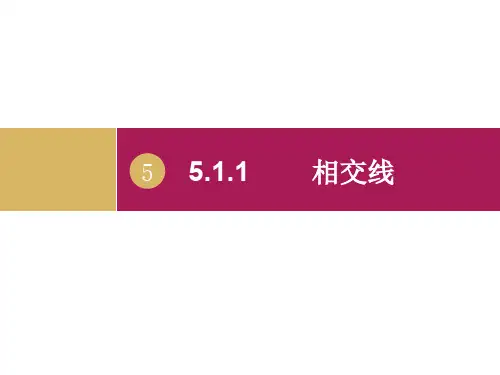 新人教版七年级数学下册《五章 相交线与平行线  5.1 相交线  观察与猜想 看图时的错觉》课件_1