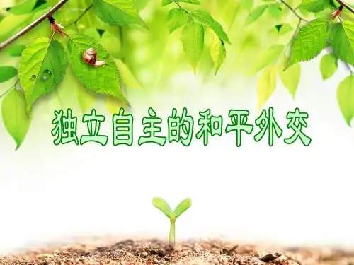 第15课--独立自主的和平外交-PPT