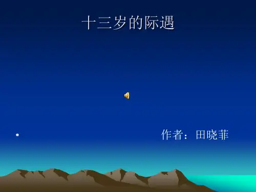 十三岁的际遇词语
