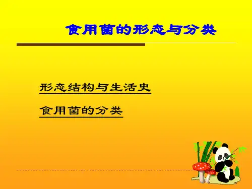 食用菌形态