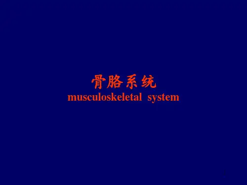 骨骼X线诊断PPT课件