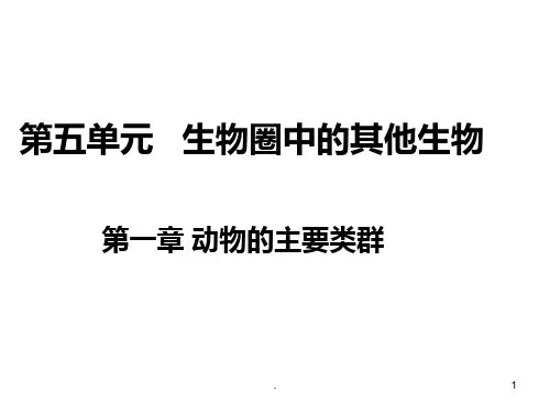 -第一节-腔肠动物和扁形动物PPT课件