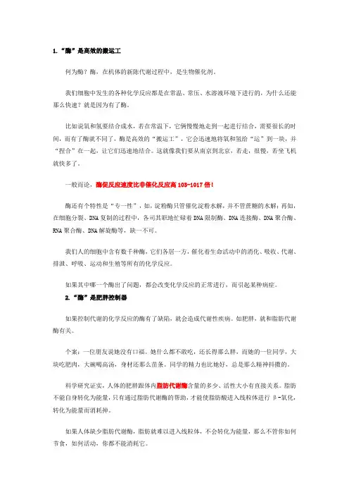 酶在减肥中的作用