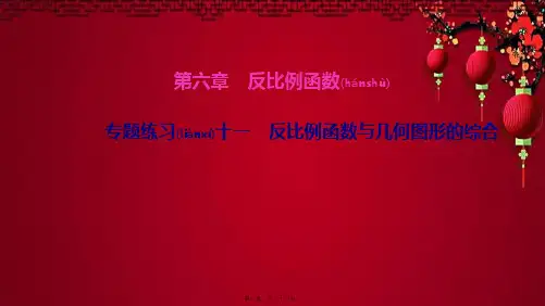 九年级数学 第六章 反比例函数 专题练习十一 反比例函数与几何图形的综合