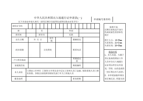 出入境申请表