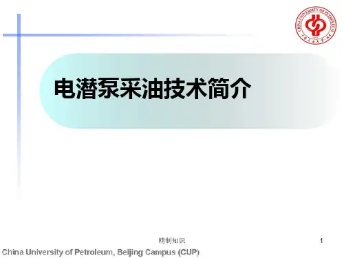 电潜泵采油简介[课堂课资]