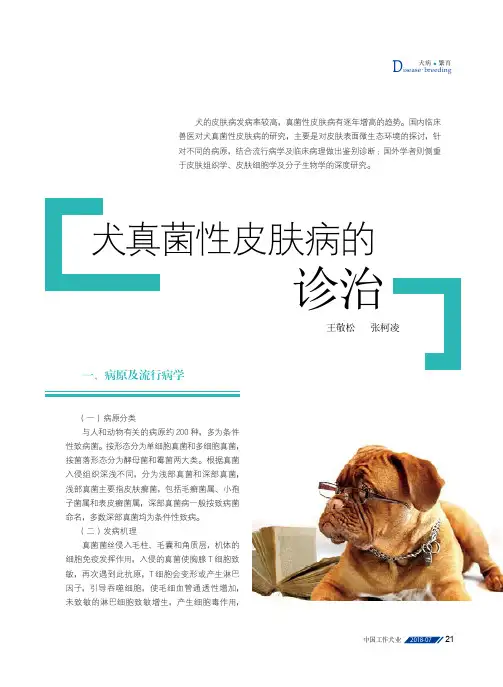 犬真菌性皮肤病的诊治