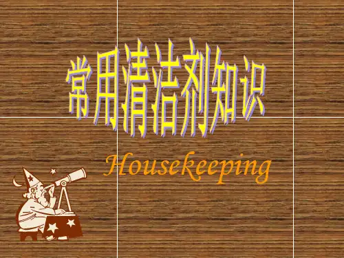 6-1常用清洁剂知识(ppt文档)