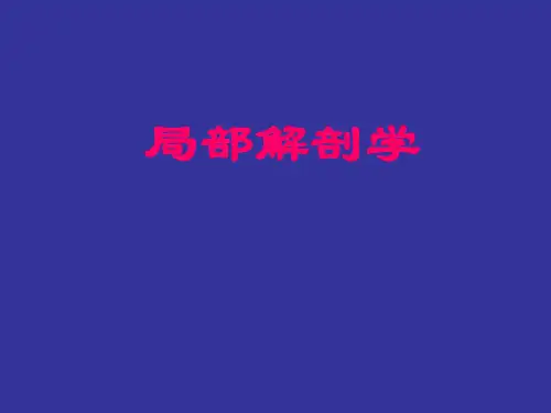 局部解剖学课件：局部解剖学head