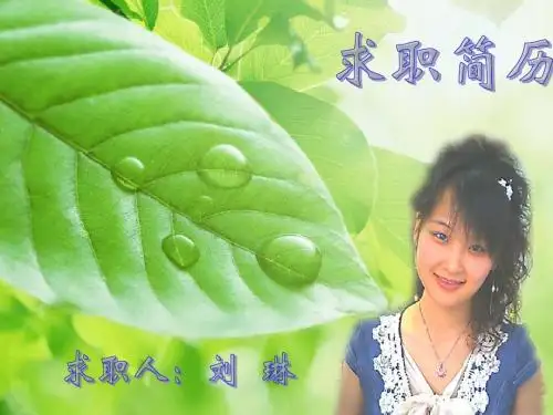 15-求职简历