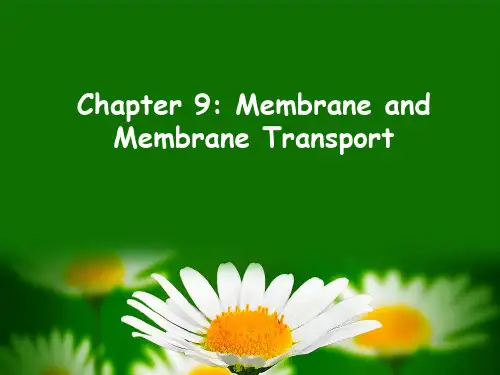 Chapter 9 membrane and membrane transport