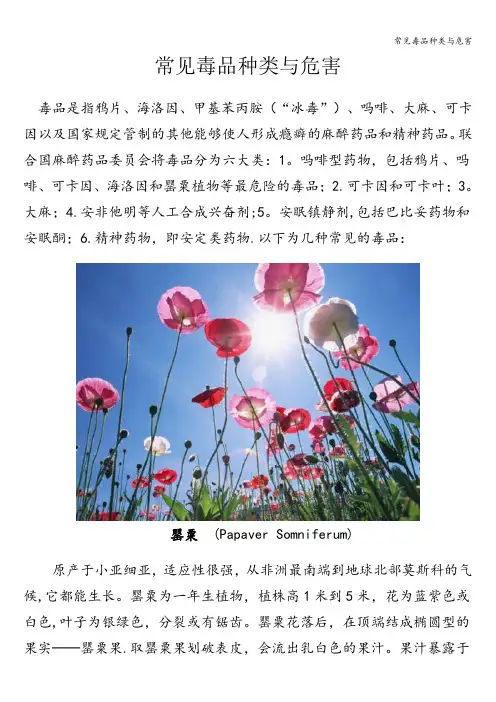 常见毒品种类与危害