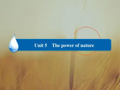 高中英语选修6练习课件:Unit 5 The power of nature 5-2