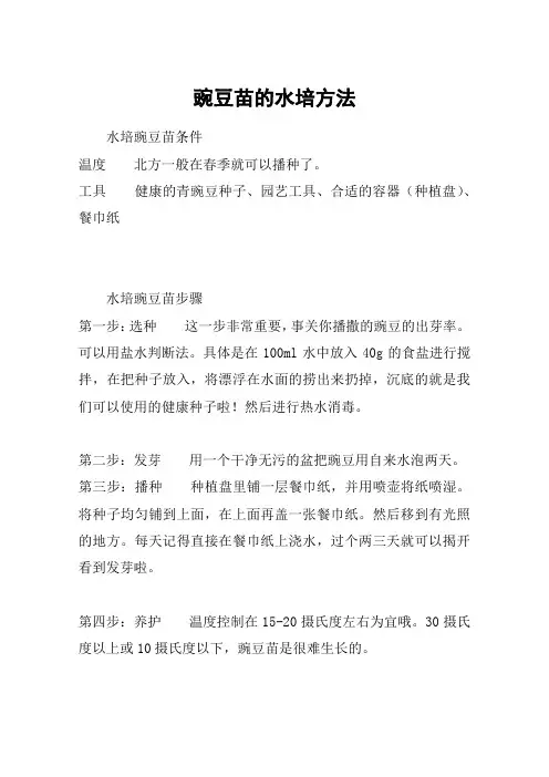 豌豆苗的水培方法