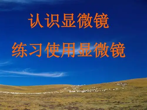 浙教版七年级(上)显微镜使用