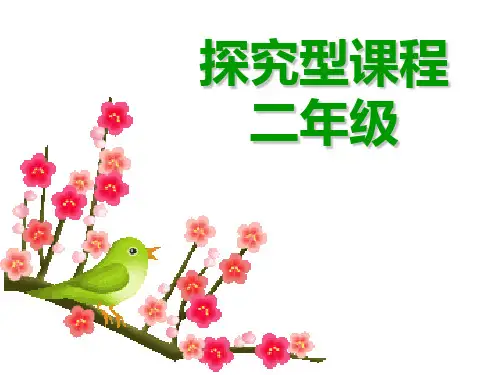 二年级下-主题5-有趣的水滴-活动1-会计时的水漏