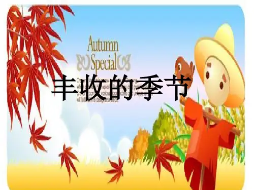 丰收的季节