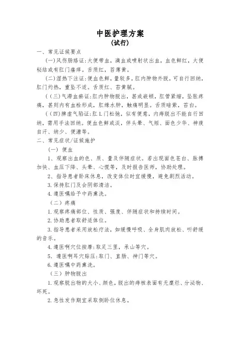 中医护理方案