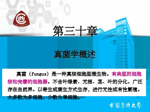 中国医科大学真菌(课堂PPT)