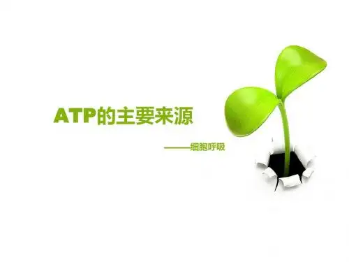 第三节 ATP的主要来源-细胞呼吸