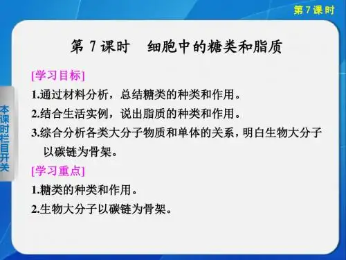 高中生物必修一 第2章 第7课时