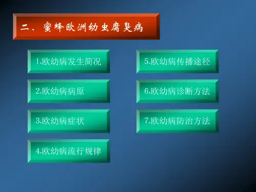 010第十节 中蜂病虫害02(欧幼病)