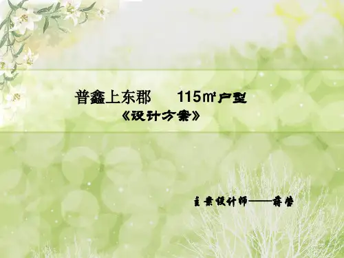 室内设计方案讲解PPT