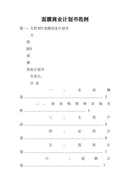 面膜商业计划书范例