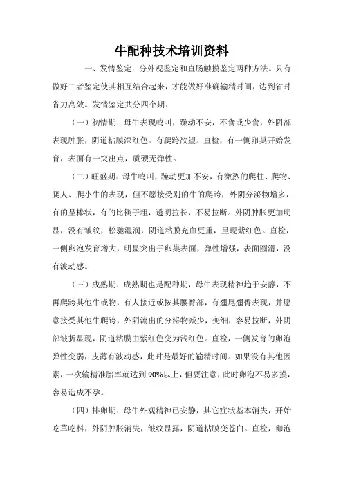 牛配种技术培训资料