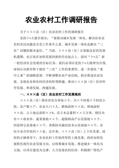 农业农村工作调研报告
