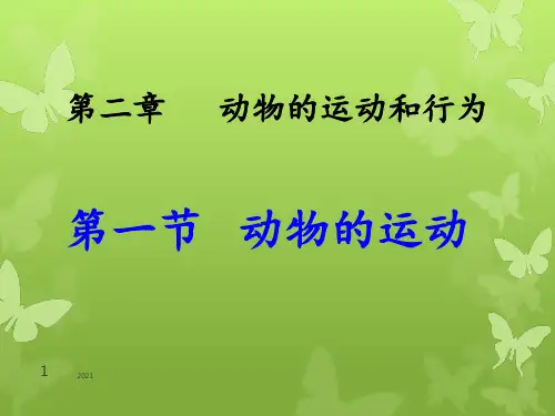第一节--动物的运动PPT课件_1