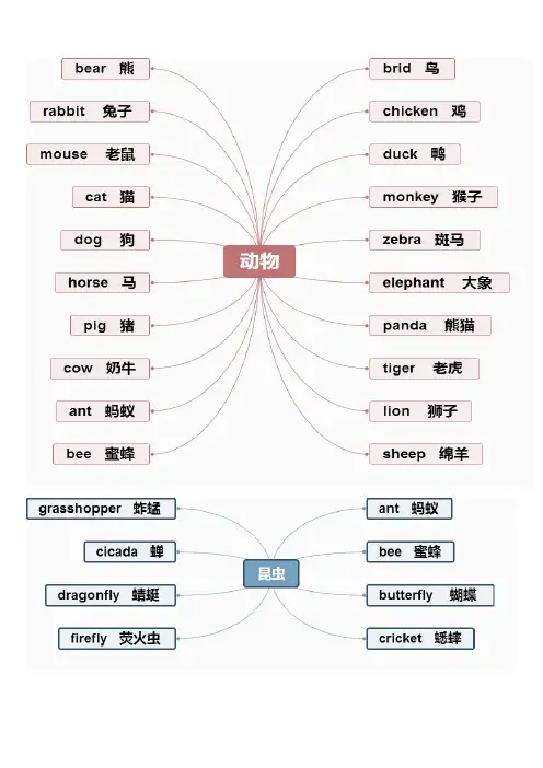 小学英语单词思维导图